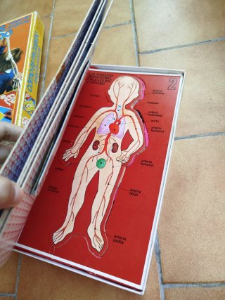 Juego Cómo es mi cuerpo años 80