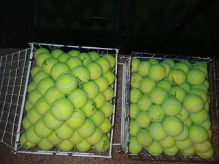 Lote 335 Pelotas Tenis-Padel (USADAS) Head CS