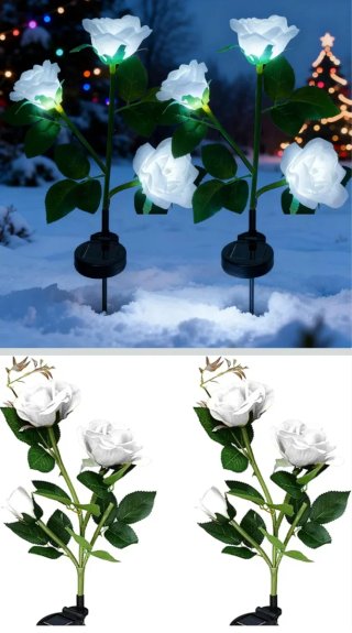 Luces Solares Rosas Blancas
