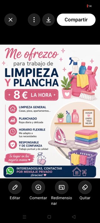 Trabajo de limpieza