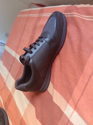 Zapatos Geox Marrones Casuales