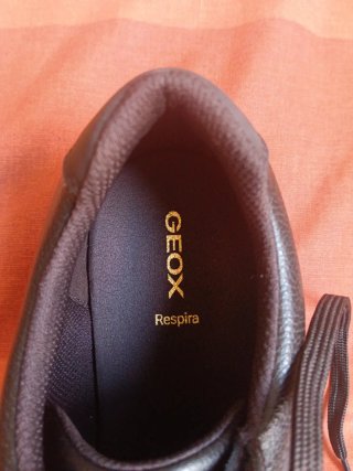 Zapatos Geox Marrones Casuales