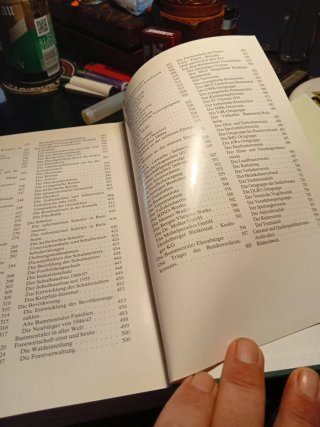 Libro Bammental