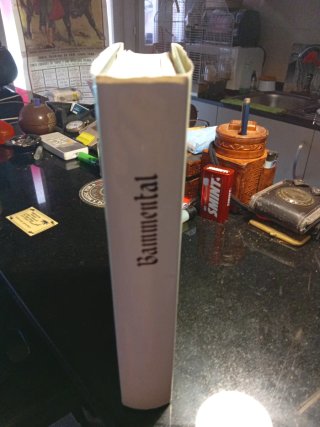 Libro Bammental
