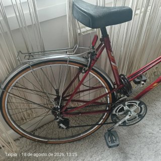 Bicicleta Clásica Torrot Vintage