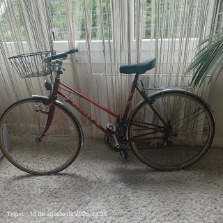 Bicicleta Clásica Torrot Vintage