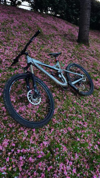 Specialized XC FSR Doble Suspensión