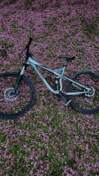 Specialized XC FSR Doble Suspensión