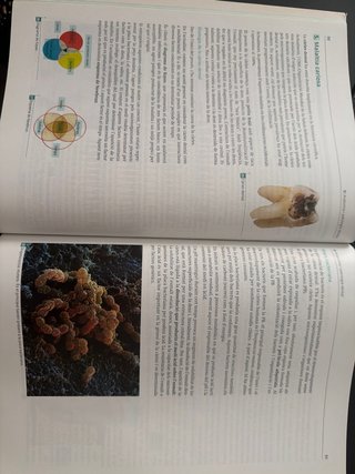 Libro fisico Tècniques Ajuda Odontologia i estomat