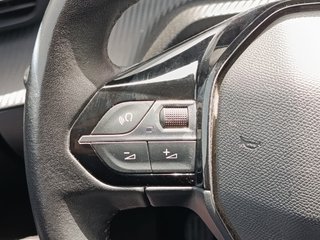 Peugeot 208 2023 DESDE 170€
