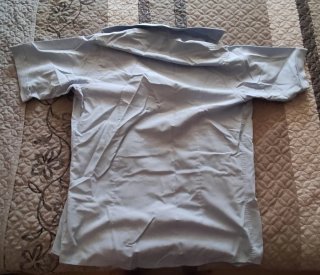 Camisas de manga larga y manga corta.