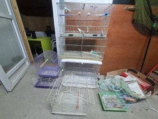 Jaulas para pájaros y mascotas