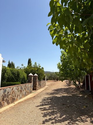 Caseta de campo