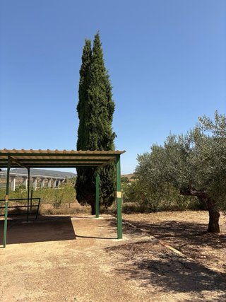 Caseta de campo
