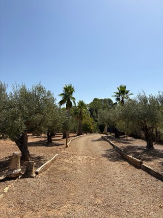 Caseta de campo