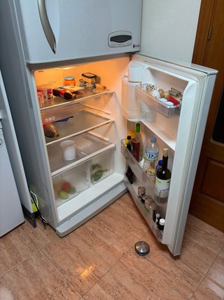 Frigorífico Americano LG Blanco