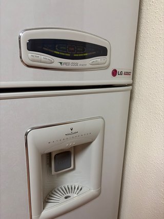 Frigorífico Americano LG Blanco