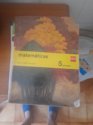 Libros SM – 4º y 5º de Primaria Vendo varios libr