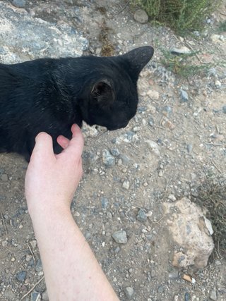 Cuidado de niñ@s pequeños y ancianos en León.