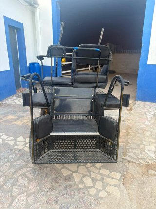 Maratón de Poni