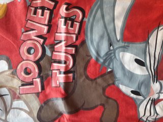 Camiseta Looney Tunes Parque Warner Talla 6