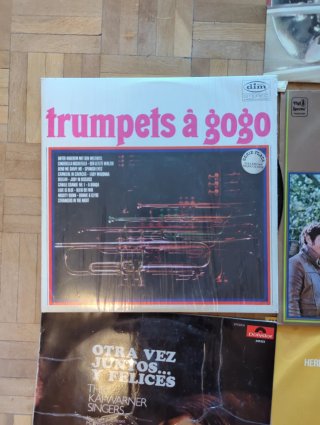 Lote Vinilos Antiguos Varios Géneros