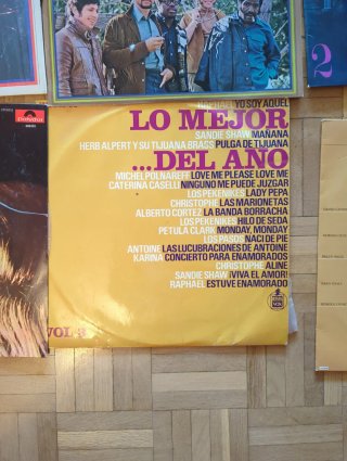 Lote Vinilos Antiguos Varios Géneros