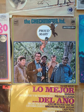 Lote Vinilos Antiguos Varios Géneros