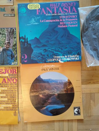 Lote Vinilos Antiguos Varios Géneros