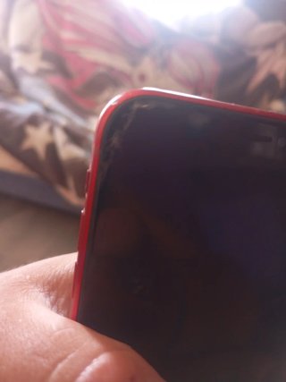iPhone XR Rojo