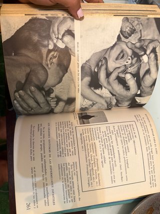 Libro