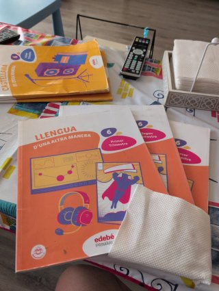 Llengua 6 sisè curs d' Educació Primària