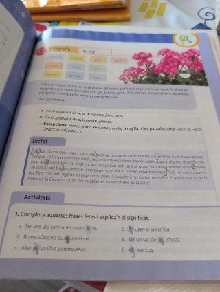 Llengua 6 sisè curs d' Educació Primària
