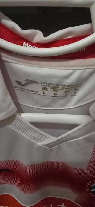 Camiseta RCD Espanyol Joma Talla L