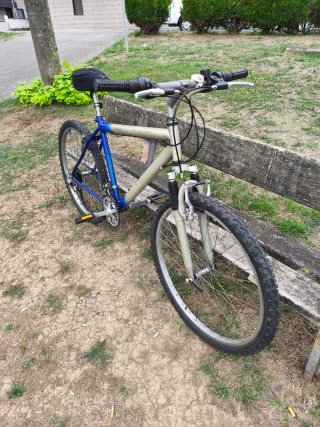 Bicicleta Montaña/Paseo Económica