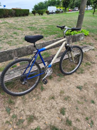 Bicicleta Montaña/Paseo Económica