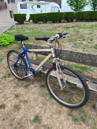 Bicicleta Montaña/Paseo Económica