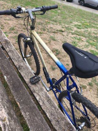 Bicicleta Montaña/Paseo Económica
