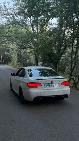 BMW Serie 3 2010