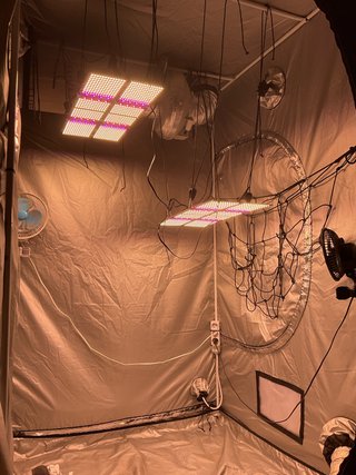 Armario cultivo interior 120x120x200 DarkBox
