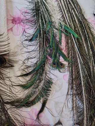Plumas de pavo real auténticas.