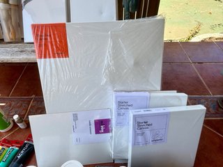Lote Pinturas Acrílicas y Material Artístico