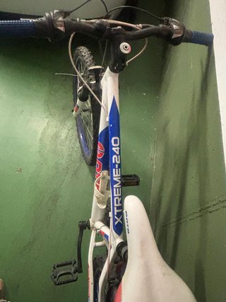 Bicicleta infantil DTB XTREME 24