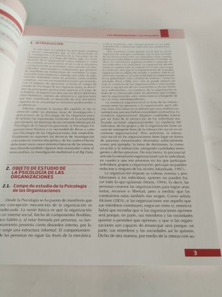 Psicología de las Organizaciones - 9788418316715