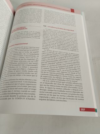 Psicología de las Organizaciones - 9788418316715