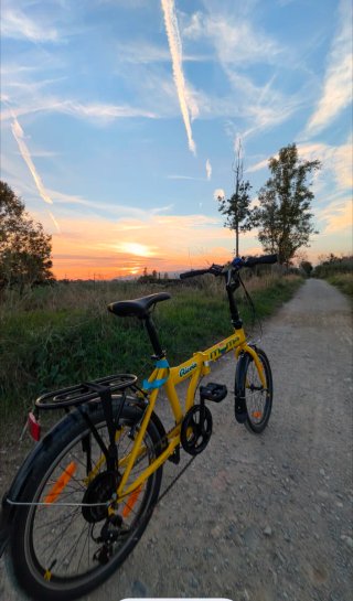Bicicleta Moma 20 Plegable Amarilla