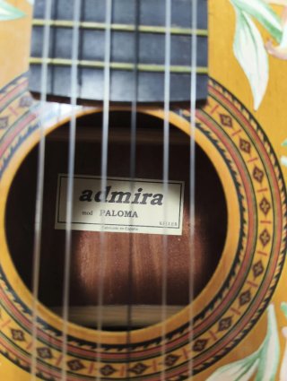 Guitarra Española Clásica Decorada