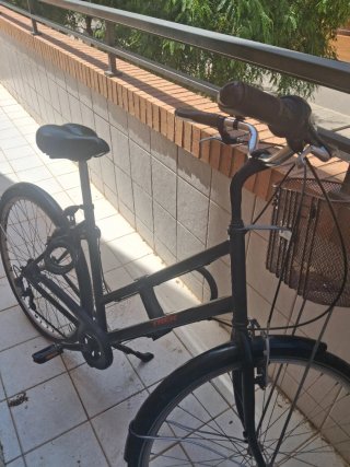 Bicicleta Trek Negra