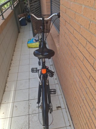 Bicicleta Trek Negra