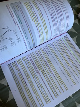 apuntes psicología fisiológica